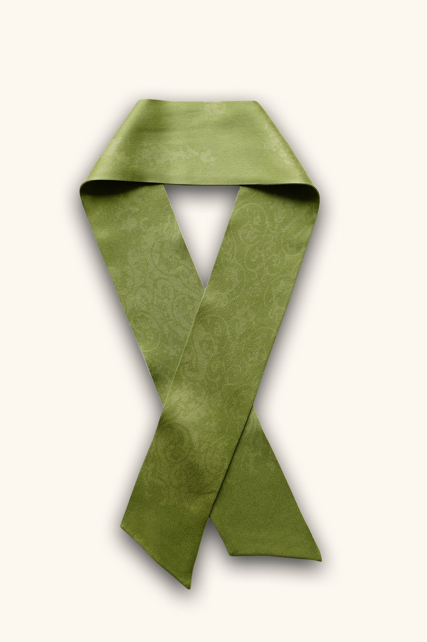 DIBADIB | Velvet Reverie Silk Ribbon Scarf - Royal Green